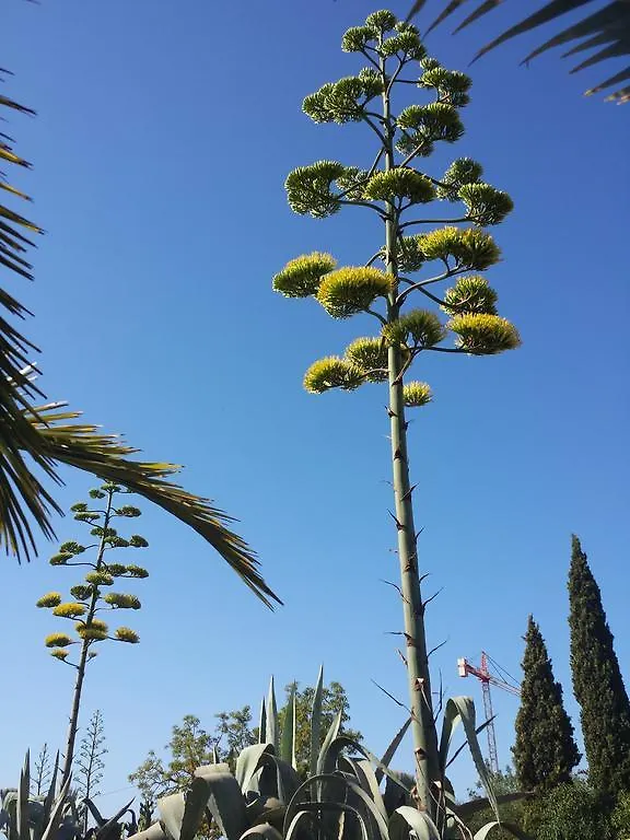 Agroturismo Ca Na Joaneta سانتا أيُلاريا ذيس ريو