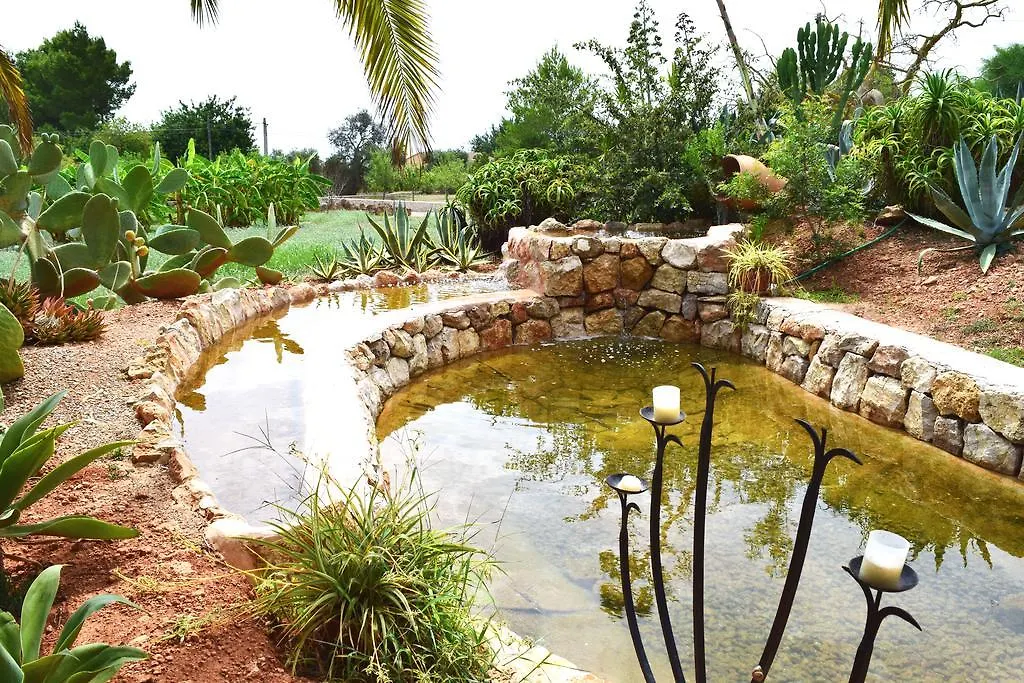 Agroturismo Ca Na Joaneta سانتا أيُلاريا ذيس ريو مزرعة للإقامة